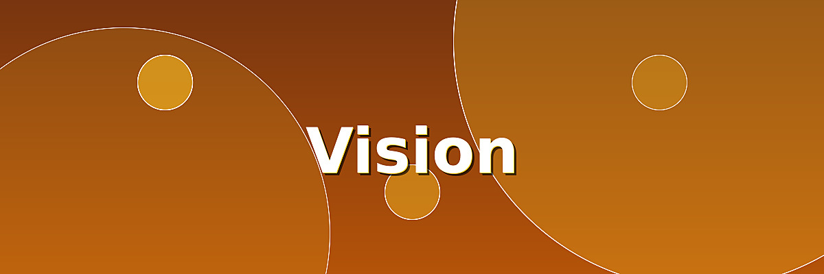 Vision