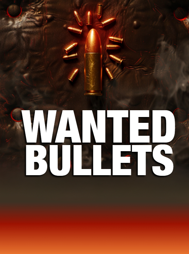 Wanted Bullets